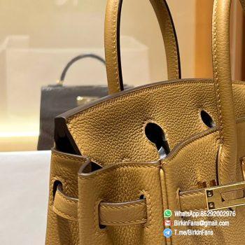 Premium Quality Clone Birkin Handbag 25cm Tabac Camel Togo Leather Gold Plaque 06