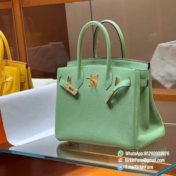 Best Replica Hermes Bags Birkin 25cm Menthe 6W Togo Leather Gold Plaque 6