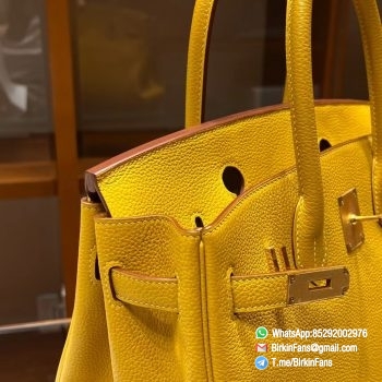 Best Replica Hermes Bags Birkin 25cm Soleil 9H Togo Leather Gold Plaque 2