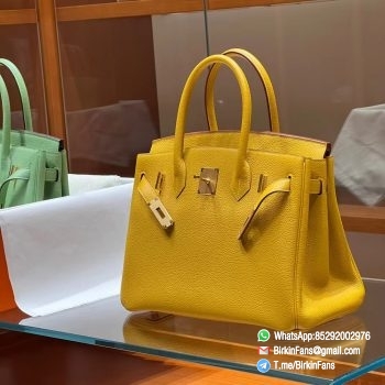 Best Replica Hermes Bags Birkin 25cm Soleil 9H Togo Leather Gold Plaque 5